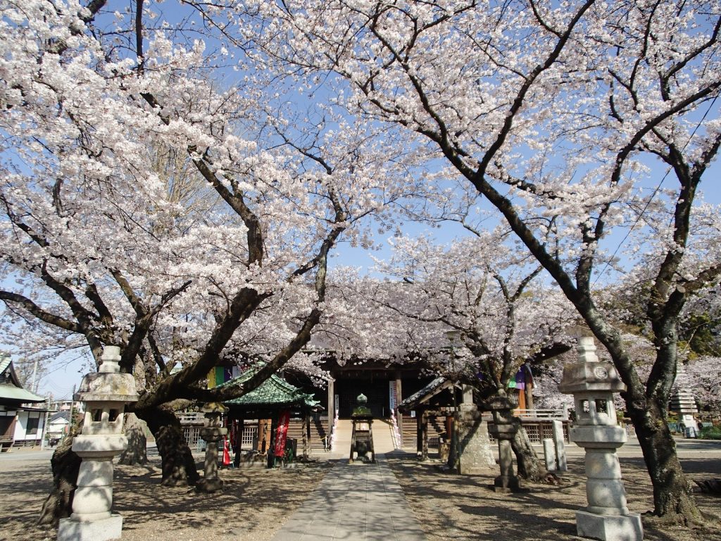 法華経寺
